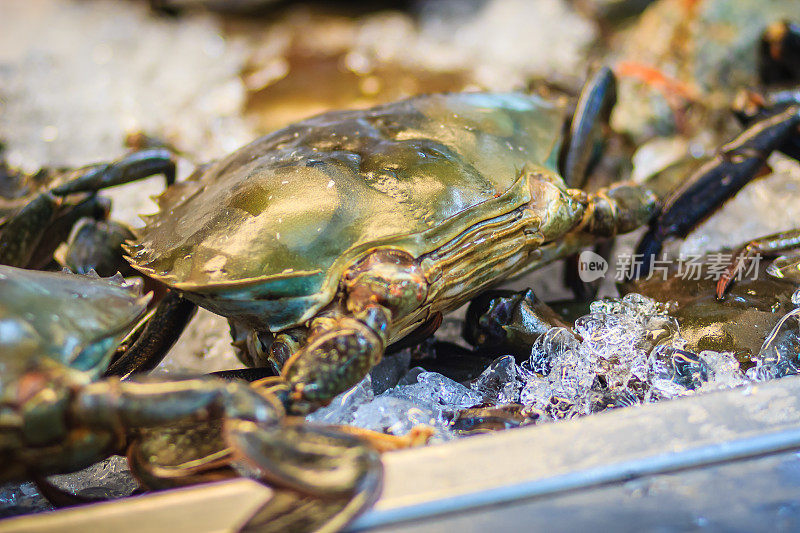 软壳沙蟹(红树蟹、黑蟹)在海鲜市场出售。软壳蟹(soft -shell crab)是一个烹饪术语，指那些刚换掉旧外骨骼，仍然很软的螃蟹。